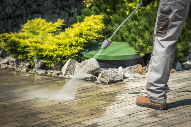 Animal Enclosure Cleaning in Franklin Square, NY